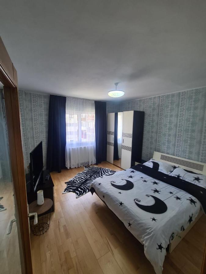 Garsoniera Slanic-Moldova Apartment Ngoại thất bức ảnh