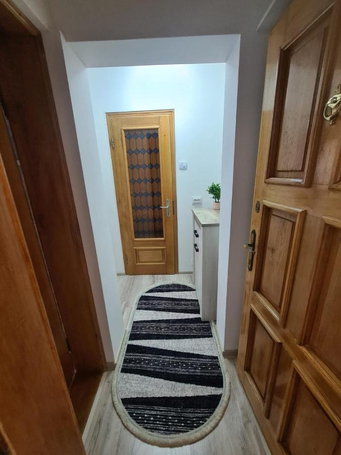 Garsoniera Slanic-Moldova Apartment Ngoại thất bức ảnh