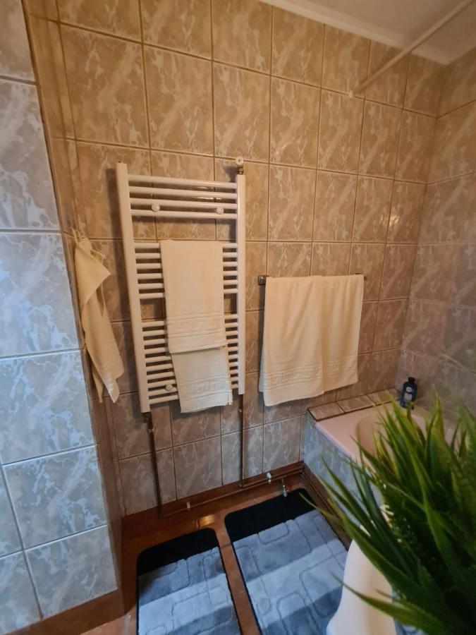Garsoniera Slanic-Moldova Apartment Ngoại thất bức ảnh